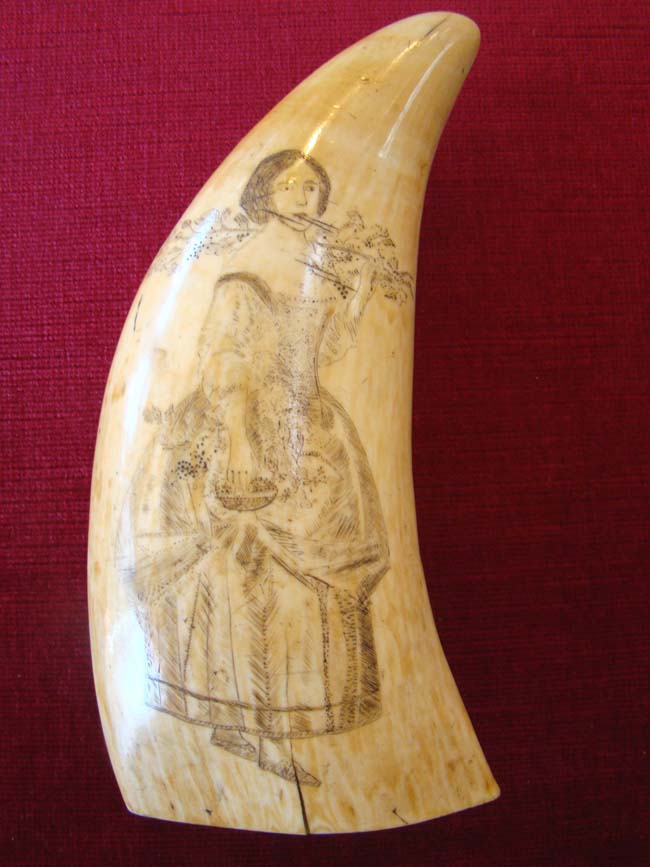 A fine and large Scrimshaw Whale's tooth circa 1850